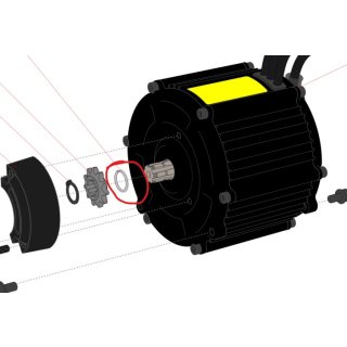 Sprengring hinter Ritzel für Oset TXP-20 & TXP-24