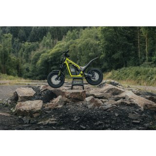 Triumph TXP-12