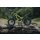 Triumph TXP-16