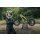 Triumph TXP-16