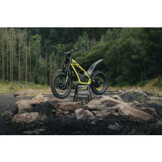 Triumph TXP-20