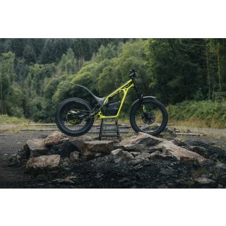 Triumph TXP-24