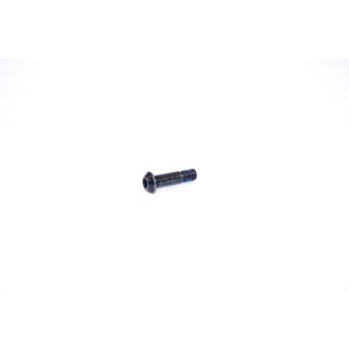 Schraube für Schwingenlager M6 x 16mm